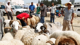 الضغوط المعيشية تنغص على التونسيين موسم الأضاحي