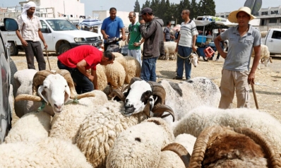 الضغوط المعيشية تنغص على التونسيين موسم الأضاحي