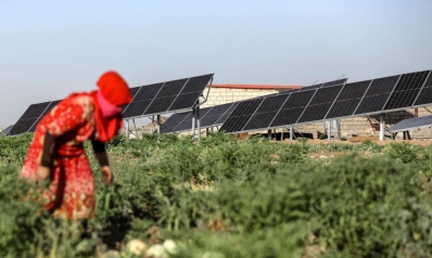 الطاقة الشمسية تنقذ السلة الغذائية لسوريا