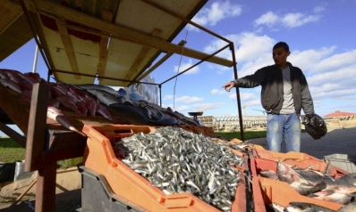صيادون في ليبيا يشنّون حربا على سمك المتوسط