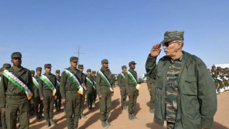 الجزائر تقحم بوليساريو في تدريبات أفريقية لتعكير علاقات المغرب