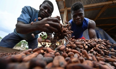 ظاهرة النينيو تهدد جغرافيا إنتاج الكاكاو في أفريقيا