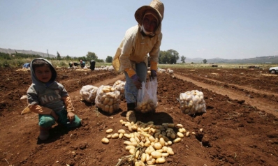 الزراعة في لبنان تدفع ضريبة دوامة توترات الجنوب