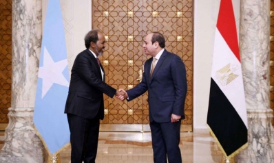 حلول شاملة للتعامل مع أزمات مصر الإقليمية
