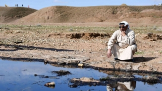 التلوث النفطي بعد إضافي لمتاعب الزراعة العراقية