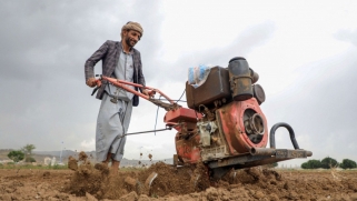 الزراعة في اليمن تعاني من الحرب وتغير المناخ والإقطاع