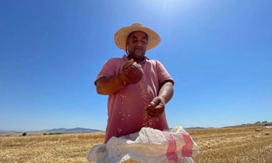 الزراعة التونسية تكافح للتأقلم مع الإجهاد المائي