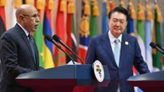 “حزام الأرز”.. هكذا تبني كوريا الجنوبية نفوذها في أفريقيا