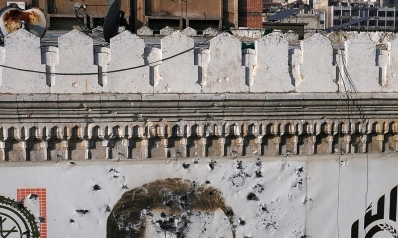 عام على هروب الأسد عام على هروب الأسد