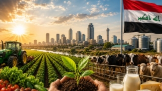 العراق… من اقتصاد النفط إلى اقتصاد الأرض: رؤية استراتيجية لبناء قطاع زراعي وحيواني يقود التنمية المستدامة