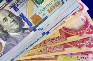 Iraqs domestic debt and the rising dollar - Can creditors legally waive their debts to save the economy